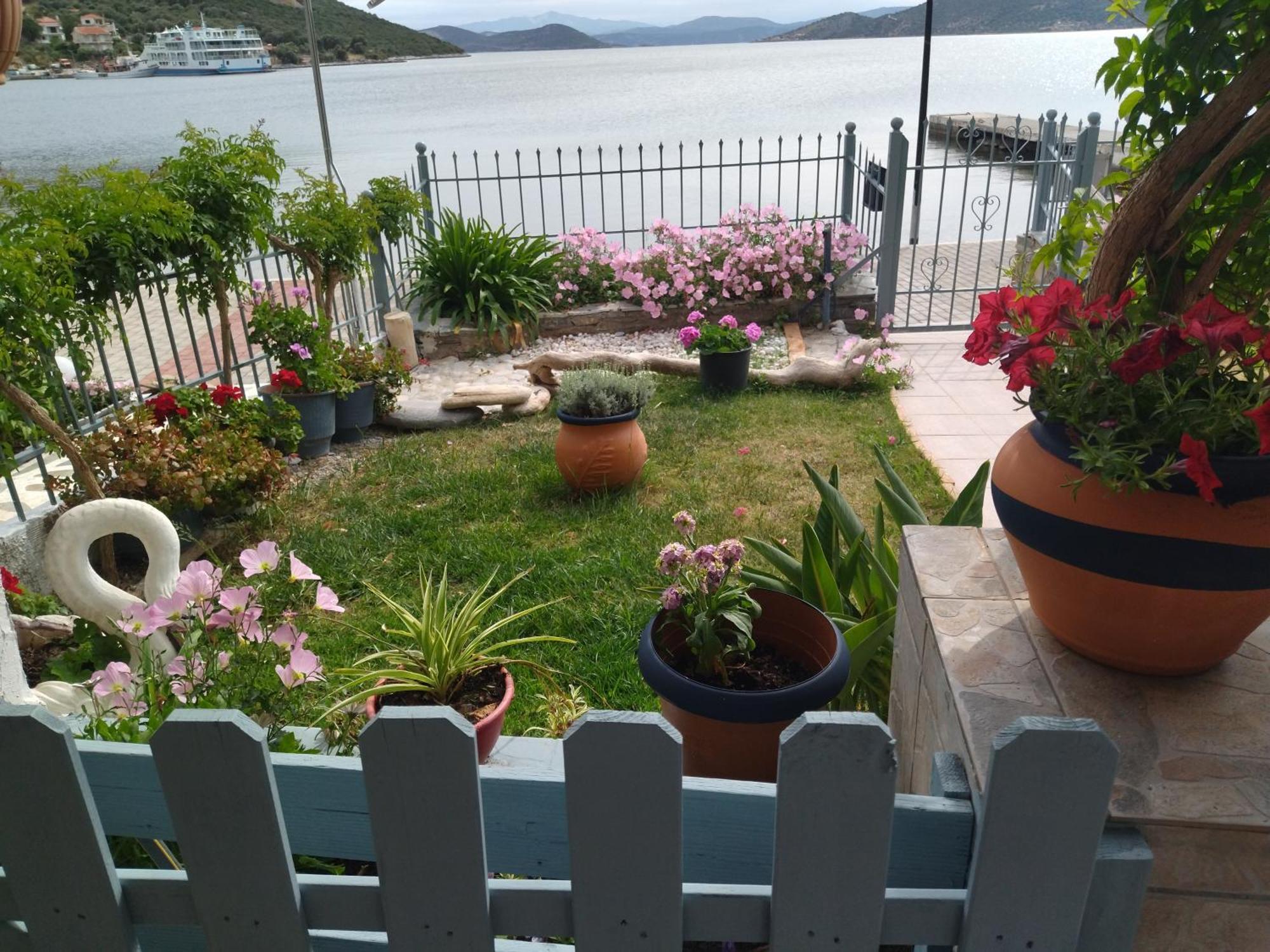 Blue Dreams Guest House Almiropotamos Room photo